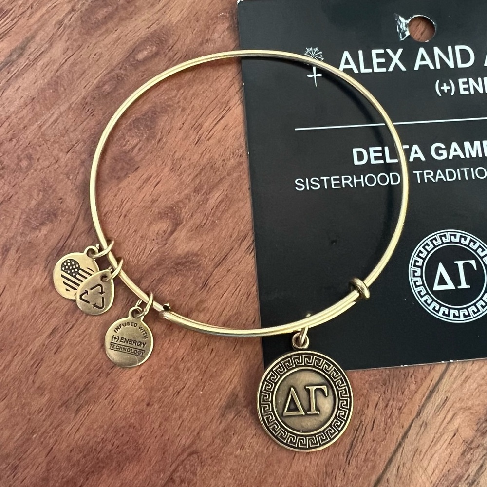 Alex and Ani Delta Gamma Bangle Bracelet - Picture 2 of 7